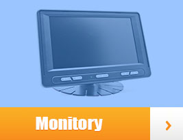 Monitory